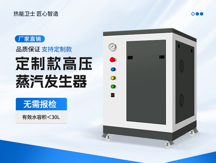 定制款高壓蒸汽發(fā)生器